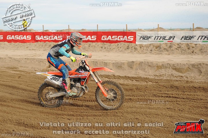 DSC_9516 (Copy).jpg